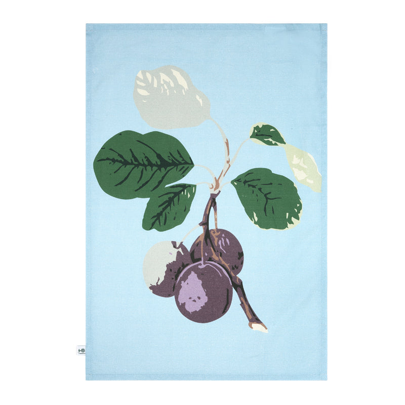William Hooker Fruit- Set of 2 Organic Tea Towels by RHS