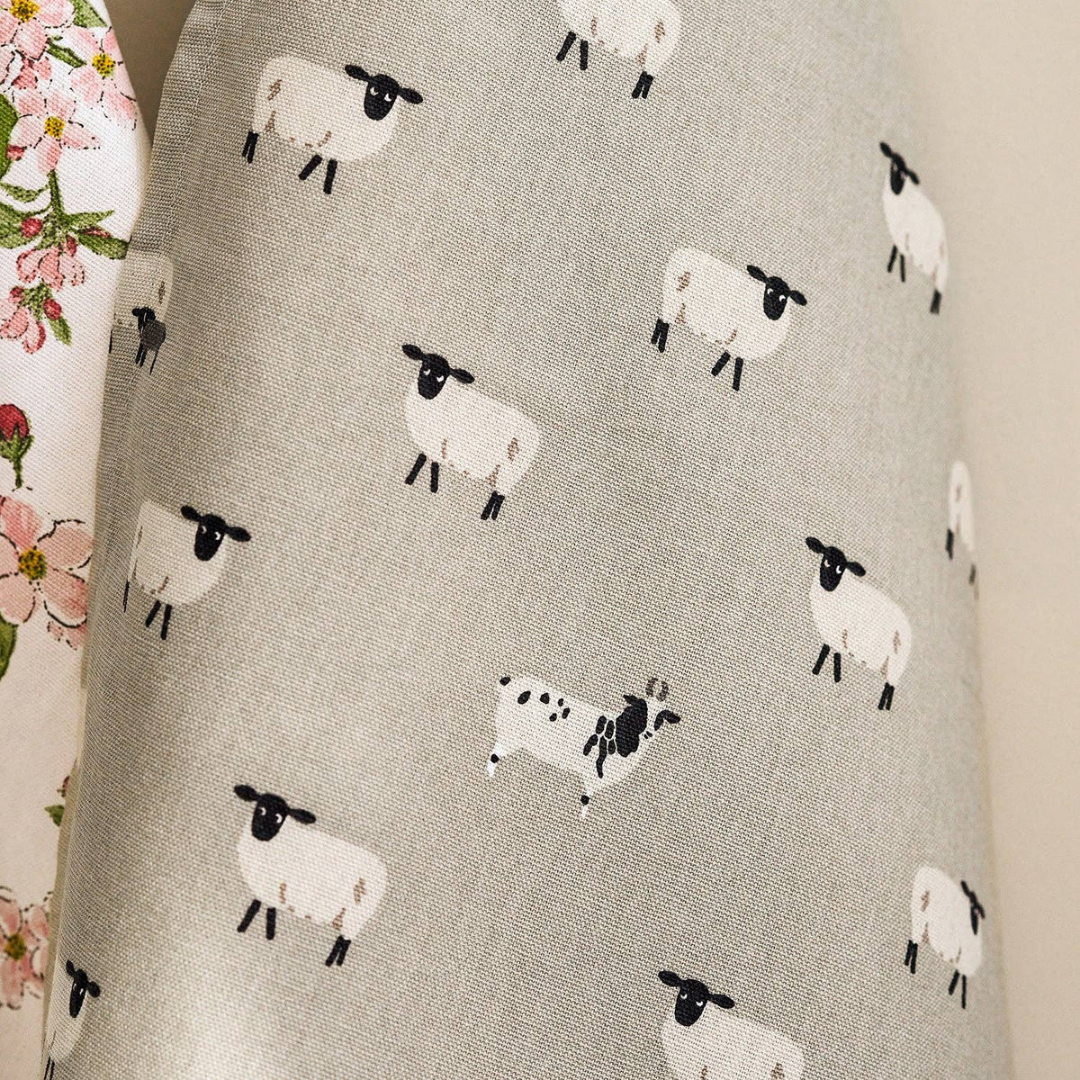 Sheep by Sophie Allport