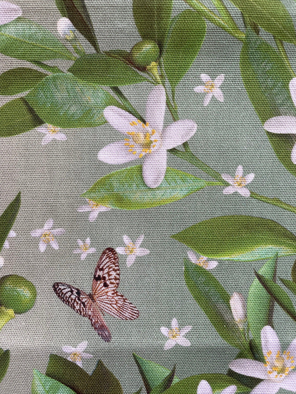 Orange Blossoms Tea towel by Michael Angove