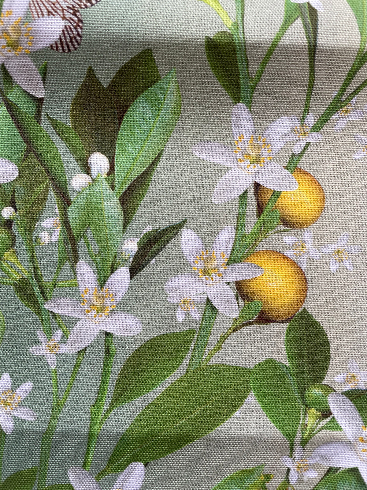 Orange Blossoms Tea towel by Michael Angove