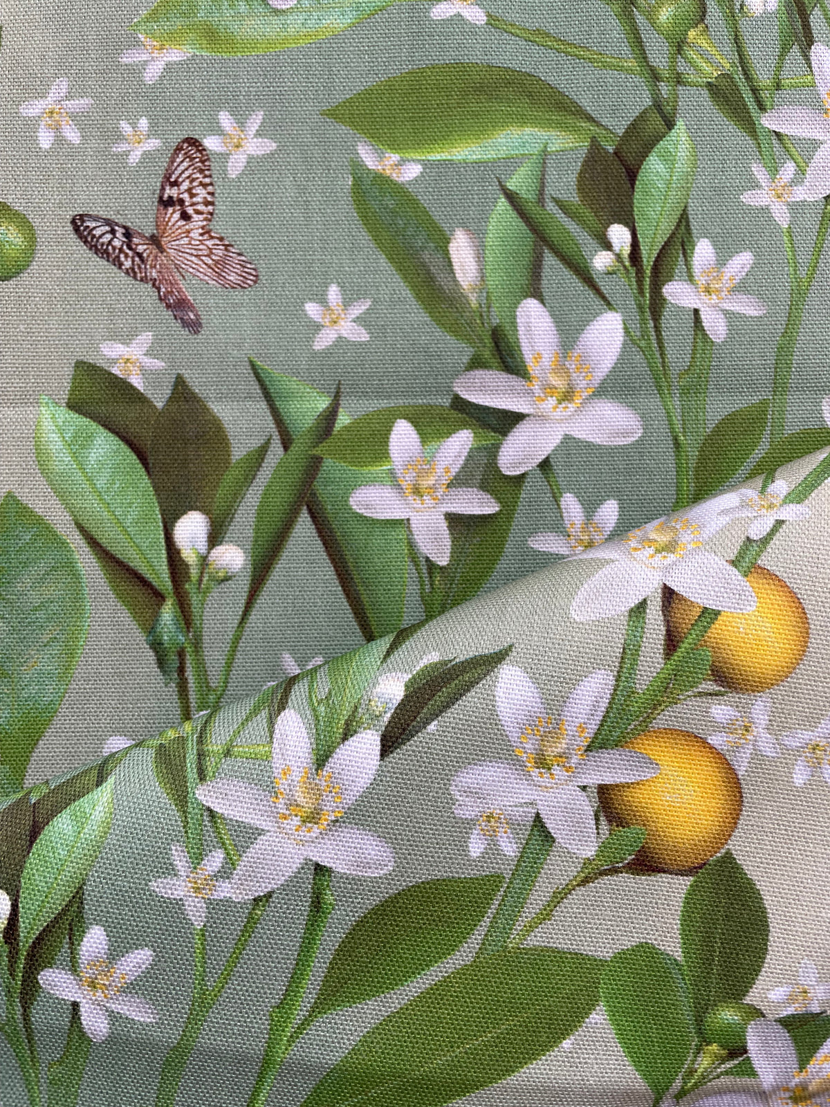 Orange Blossoms Tea towel by Michael Angove