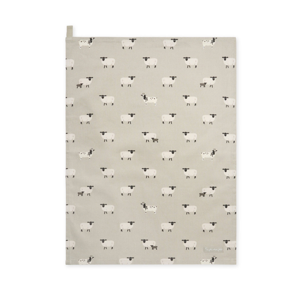 Sheep by Sophie Allport