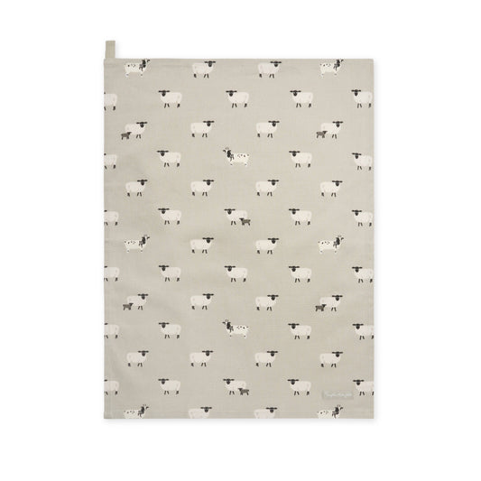 Sheep by Sophie Allport