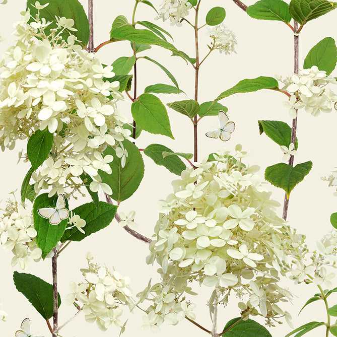 Hydrangea Tea Towel by Michael Angove