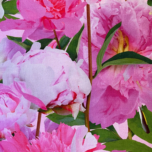 Peony Crush Tea Towel by Michael Angove